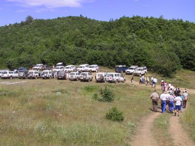 Green forest of trees in the background. Foreground consists of many vehicles parked alongside a group of people walking.