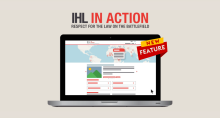 IHL in Action case study summaries